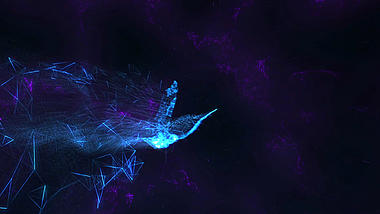 蓝色粒子鸟飞LOGO展示PR模板视频的预览图