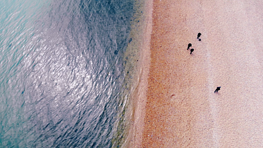 4K高画质航拍行走在海滩上的人群视频的预览图