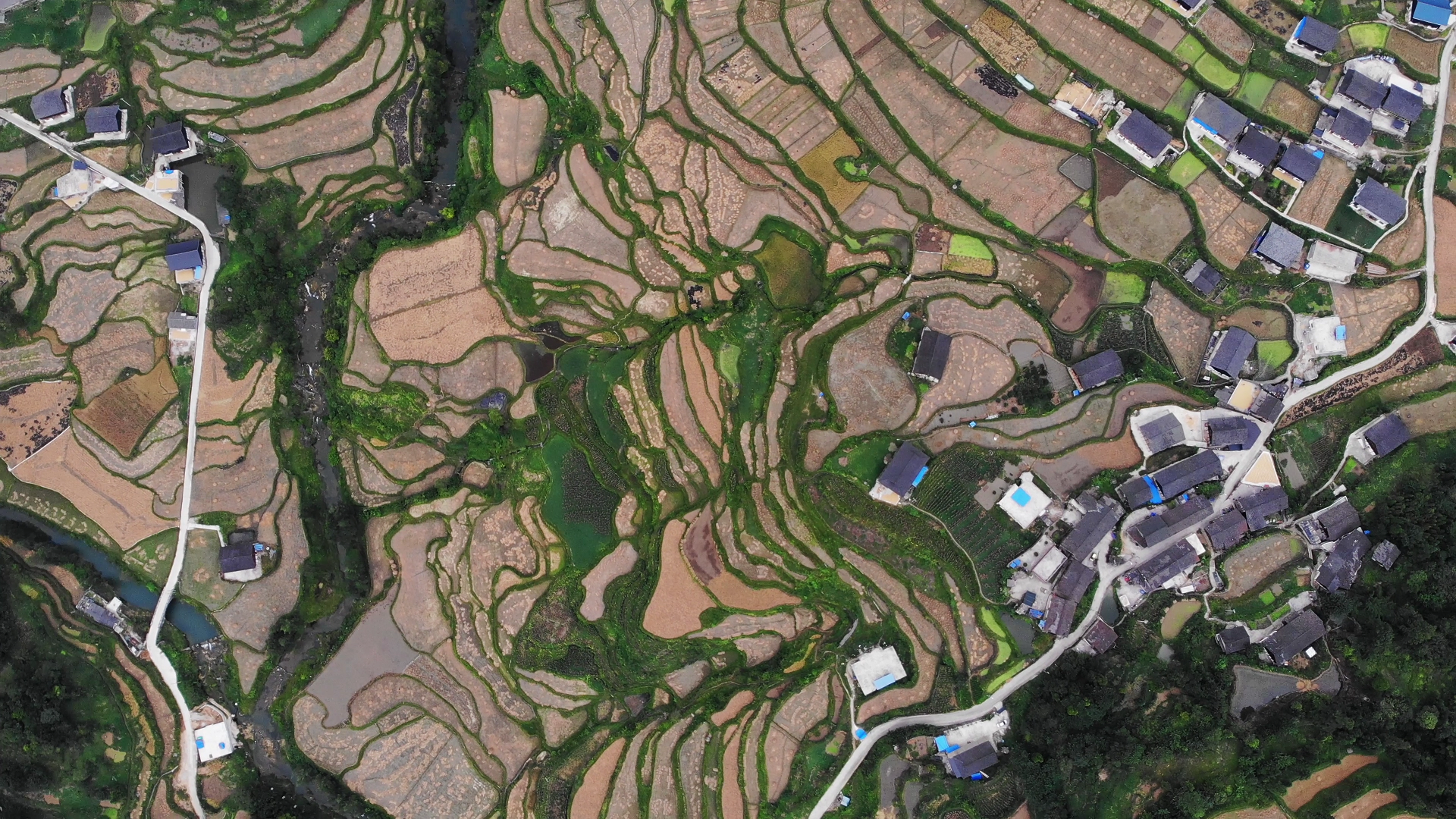 4K高画质航拍俯瞰贵州梯田风貌视频的预览图