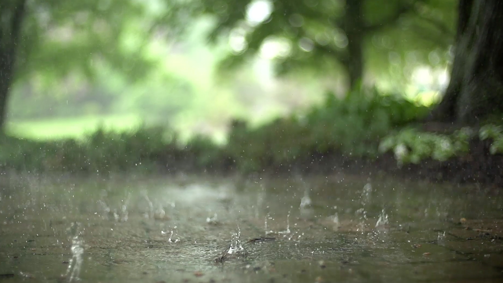 1080P实拍下雨天雨水滴落在地面慢镜头视频的预览图