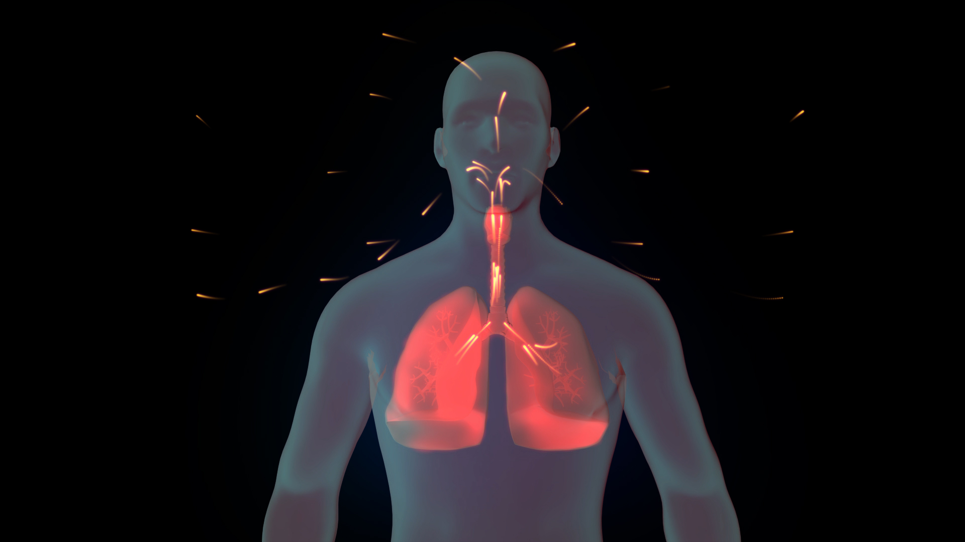 4K三维肺炎人体戴口罩肺部透明通道视频的预览图