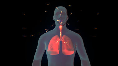 4K三维肺炎人体戴口罩肺部透明通道视频的预览图