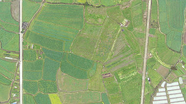 1080P航拍绿色农田视频的预览图