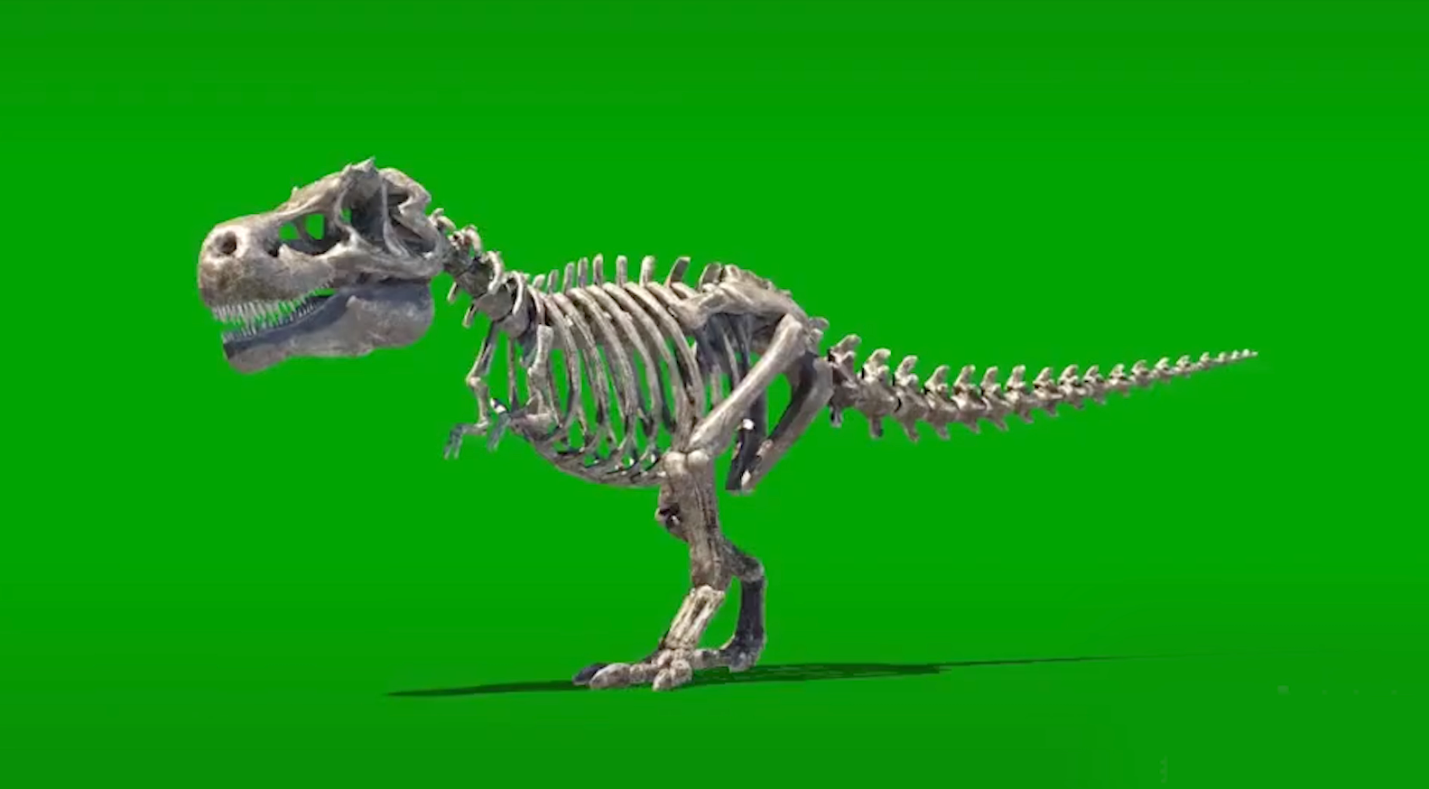 电影级别史诗恐龙骨架绿幕绿布抠像场景视频的预览图