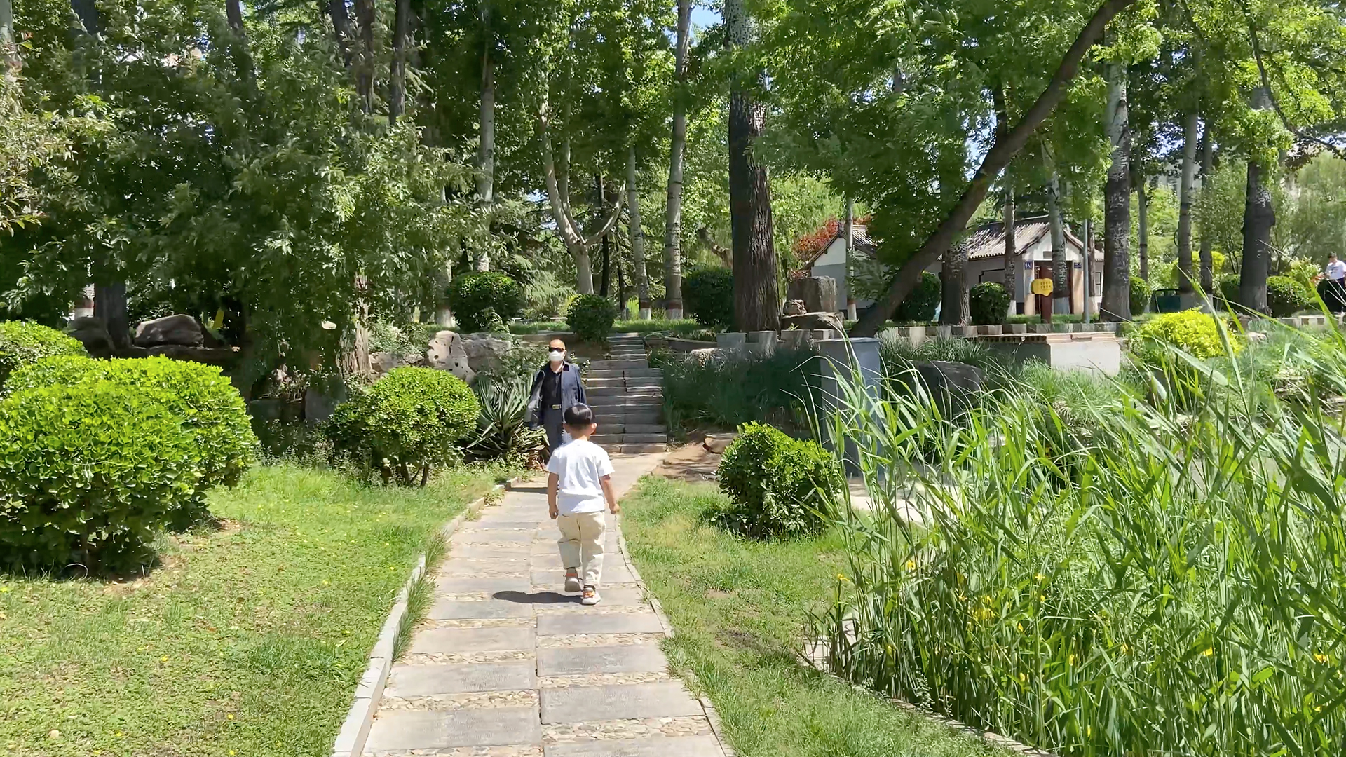 4k实拍公园孩子奔跑背影视频素材视频的预览图