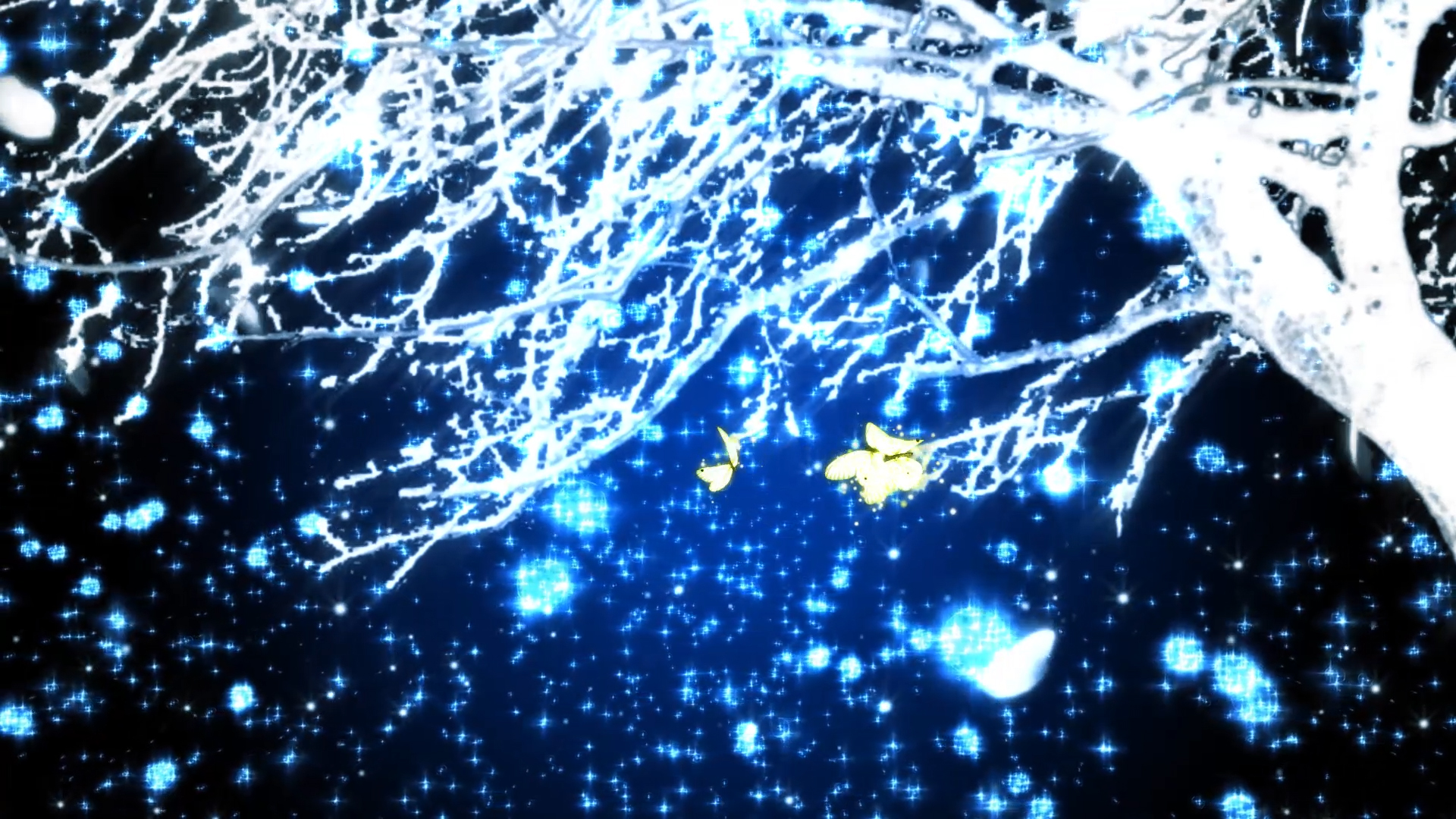 原创蓝色唯美发光树蝴蝶飞舞婚礼背景AE模板视频的预览图