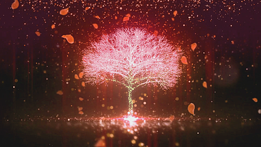 唯美爱情树花瓣飘落LED婚礼结婚大屏幕背景视频的预览图