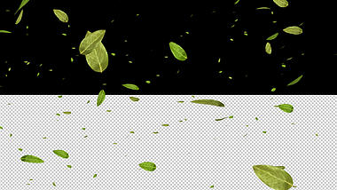 逼真树叶飘落元素透明通道视频的预览图