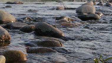 4k实拍唯美小溪石头流水潺潺视频视频的预览图