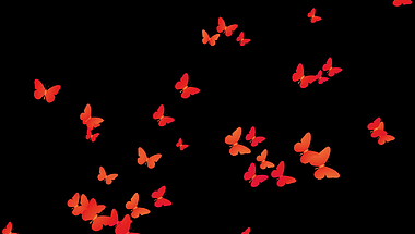 唯美免抠蝴蝶群体飞舞特效挂件视频的预览图