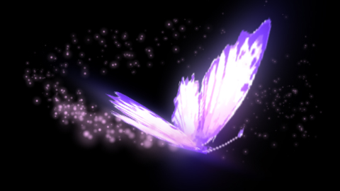 紫色发光蝴蝶粒子光效透明通道视频的预览图
