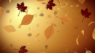秋天枫叶效果LED循环大屏背景视频的预览图