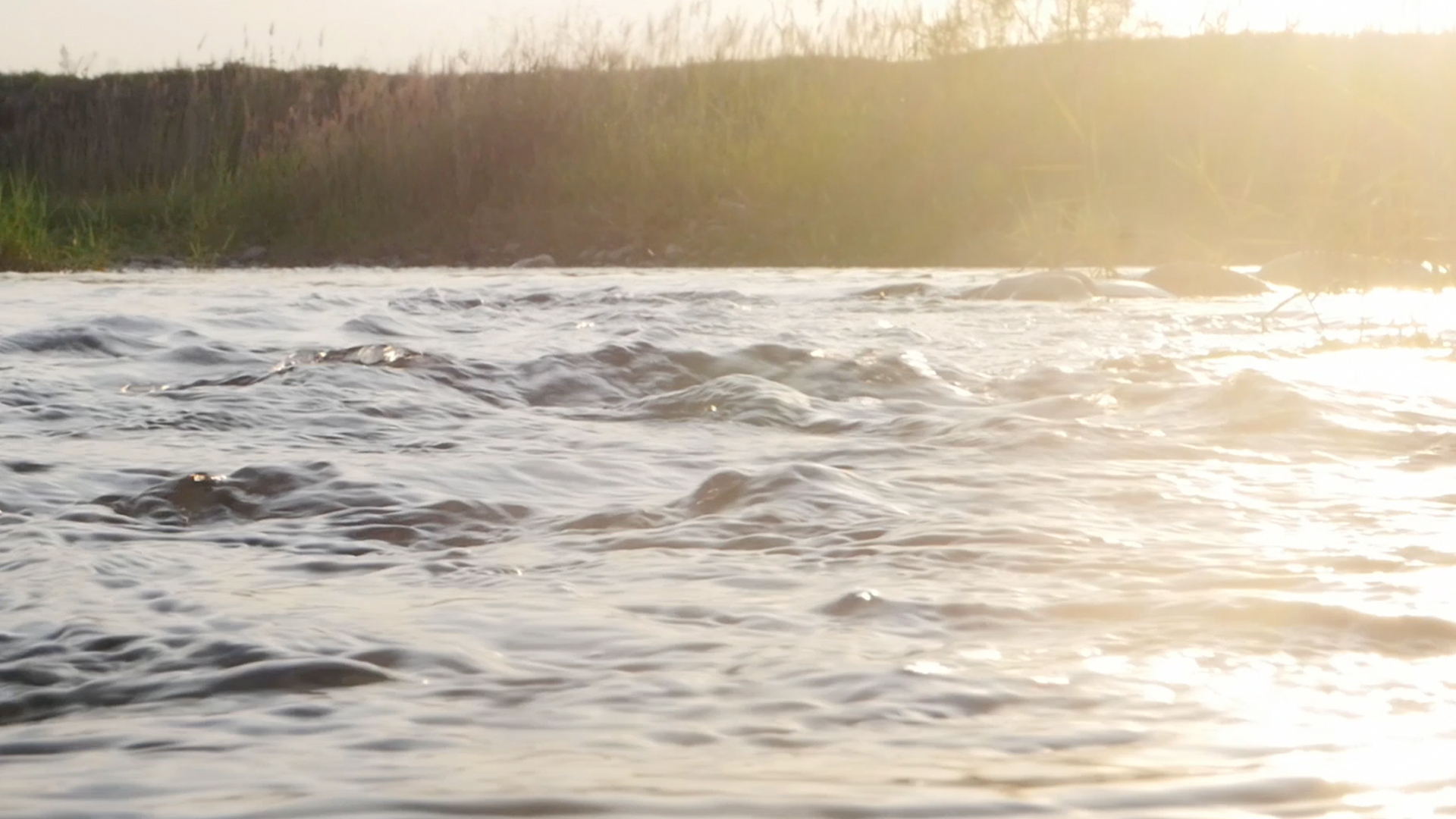 1080p实拍夕阳下小溪流水展示视频视频的预览图