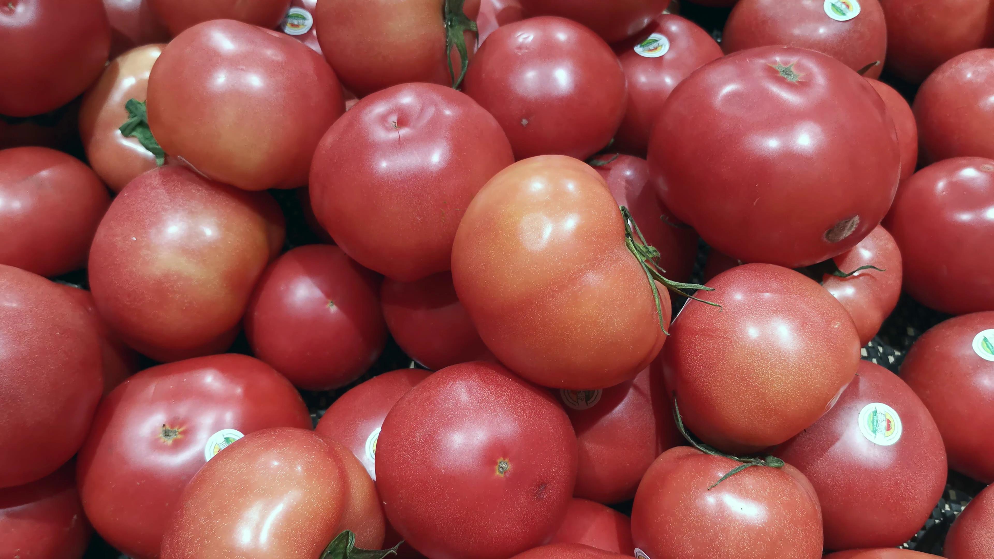 4K实拍新鲜蔬菜西红柿视频的预览图