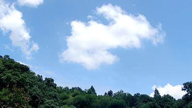 森林蓝天白云延时摄影视频的预览图
