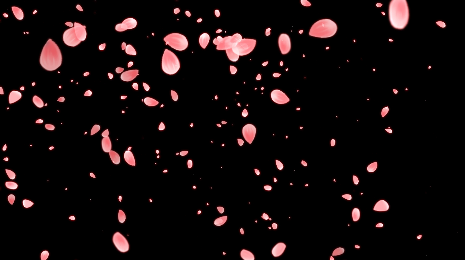 玫瑰花瓣飘落免抠后期效果应用视频的预览图