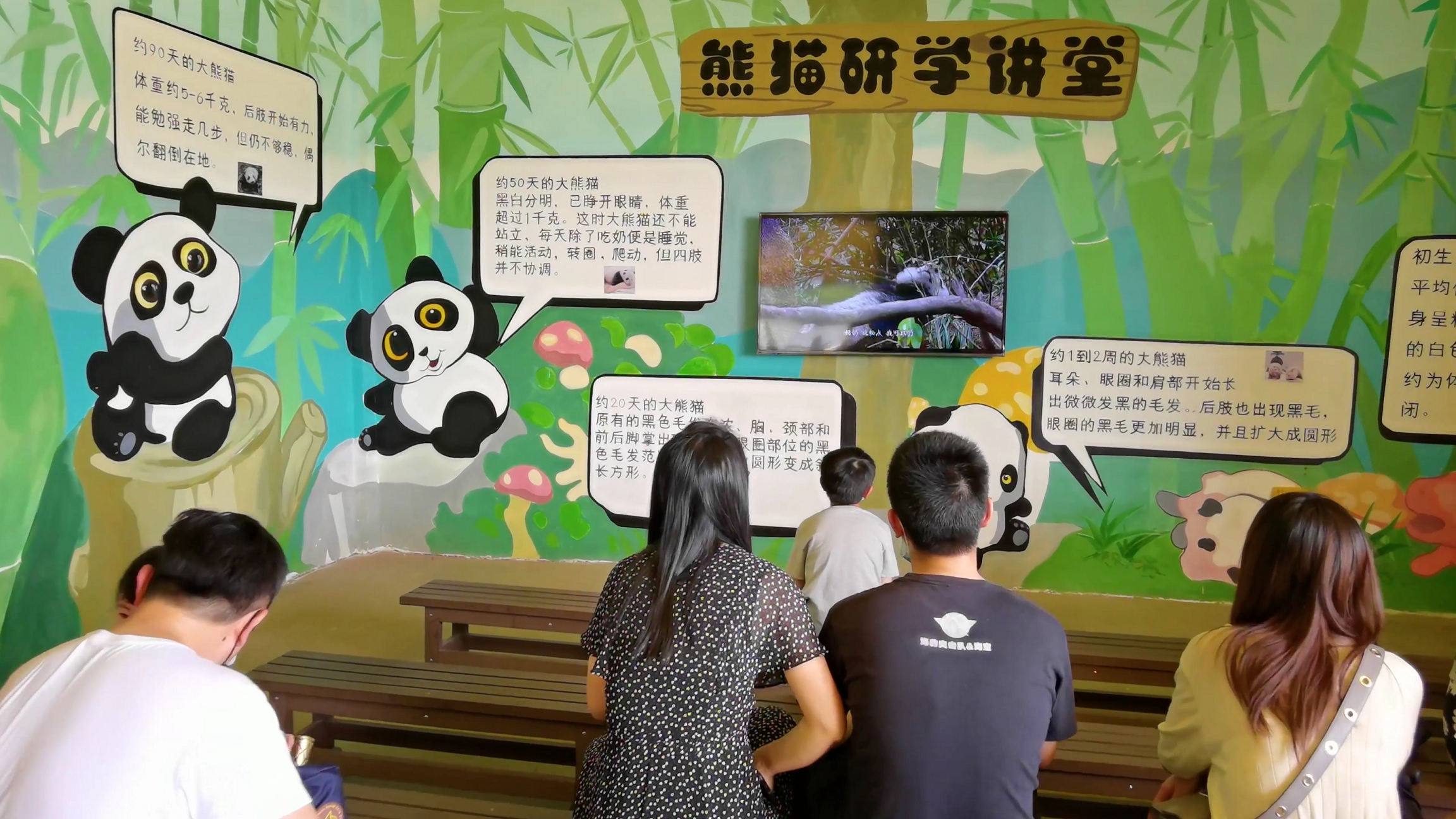 4K高帧率熊猫知识讲堂视频的预览图