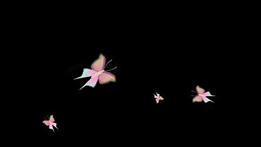 梦幻粉色蝴蝶飞舞免抠带透明通道挂件视频的预览图