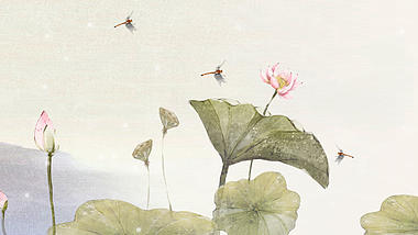 荷花荷叶蜻蜓中国风水墨画背景视频视频的预览图