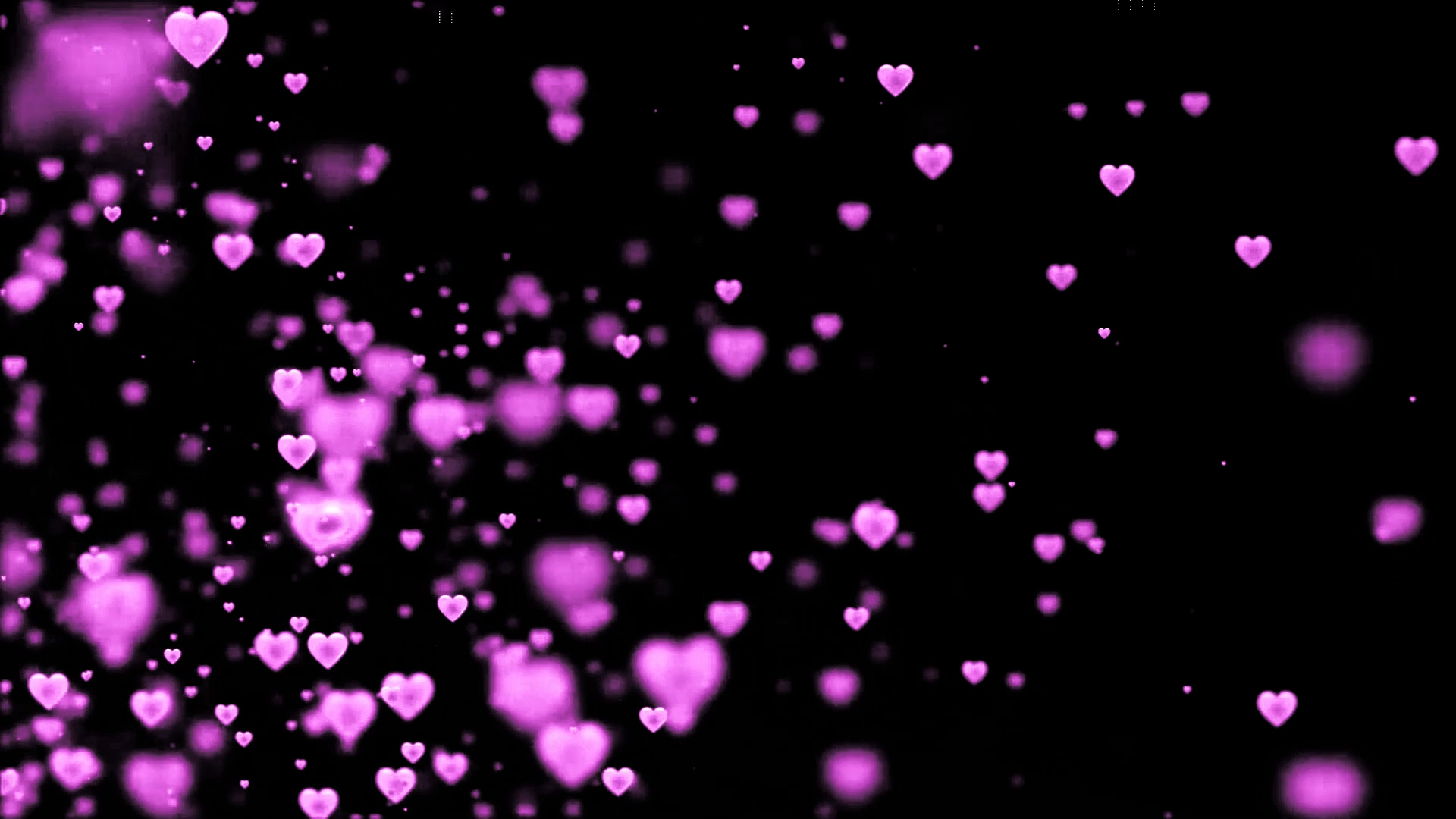 大气粉色爱心光斑带通道素材AE模板视频的预览图
