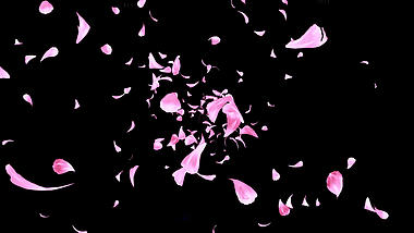 大气粉红色花瓣带通道素材AE模板视频的预览图