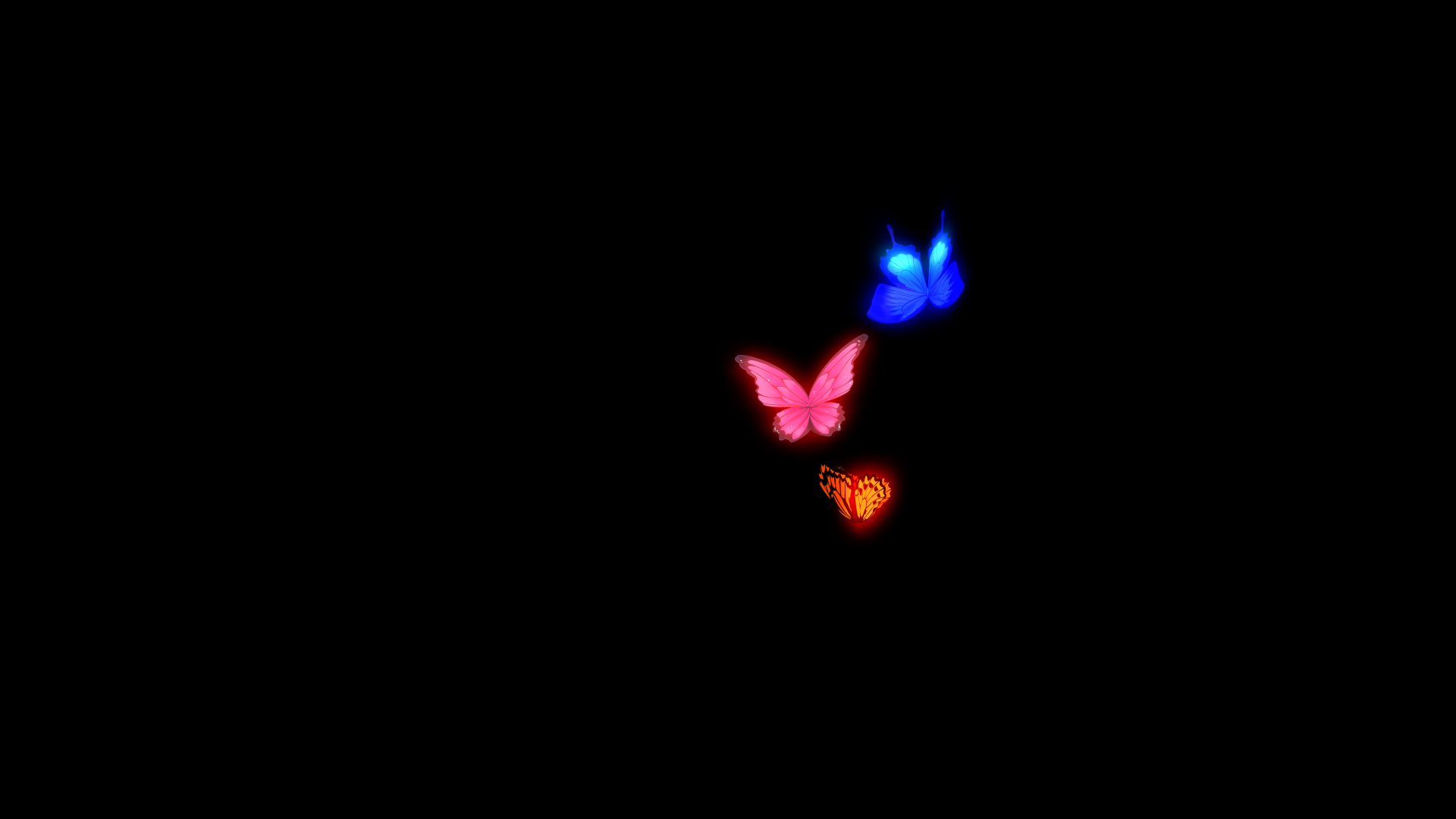 发光蝴蝶飞舞盘旋透明通道视频的预览图