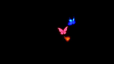 发光蝴蝶飞舞盘旋透明通道视频的预览图