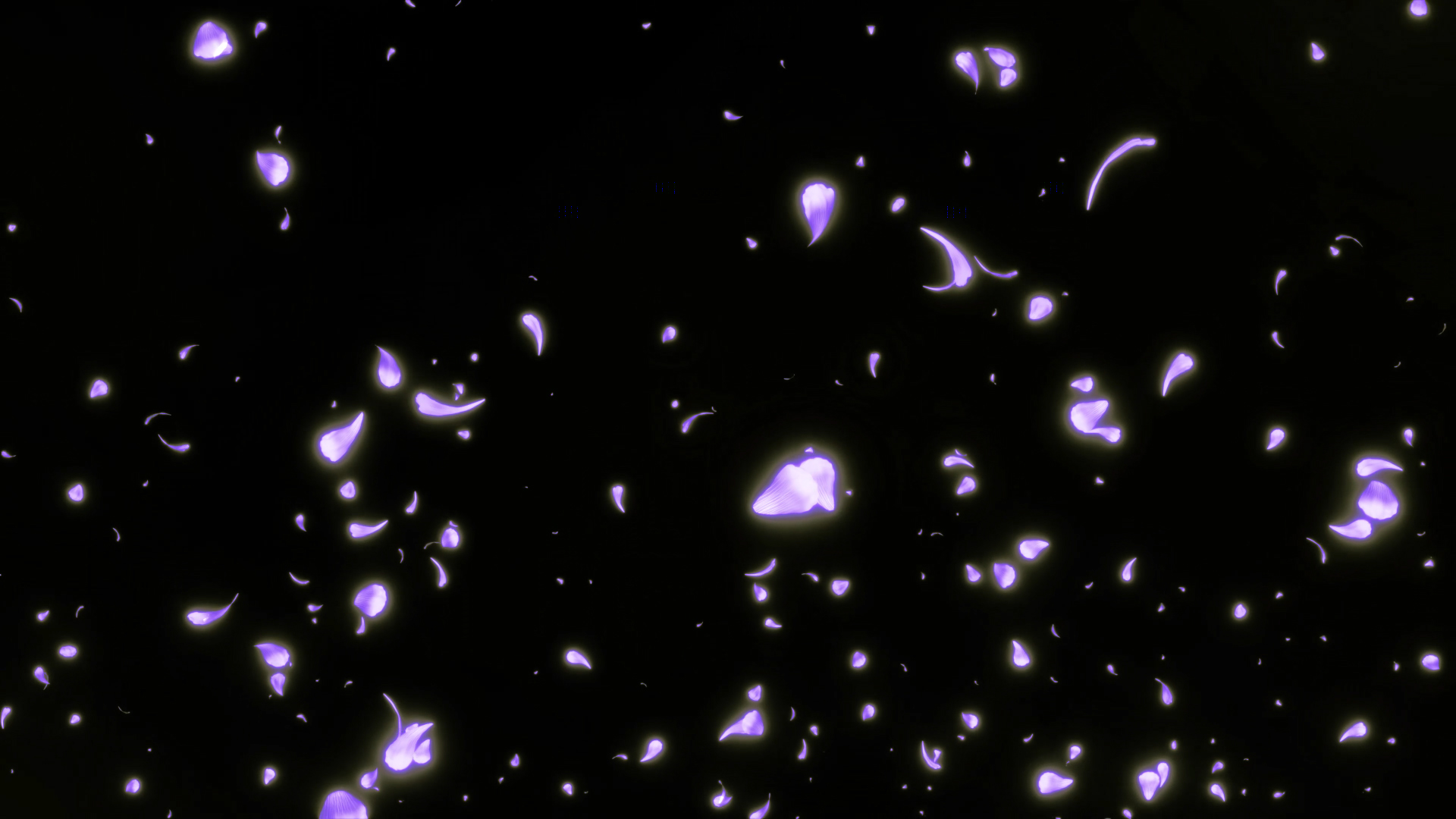 大气紫色发光花瓣带通道素材AE模板视频的预览图