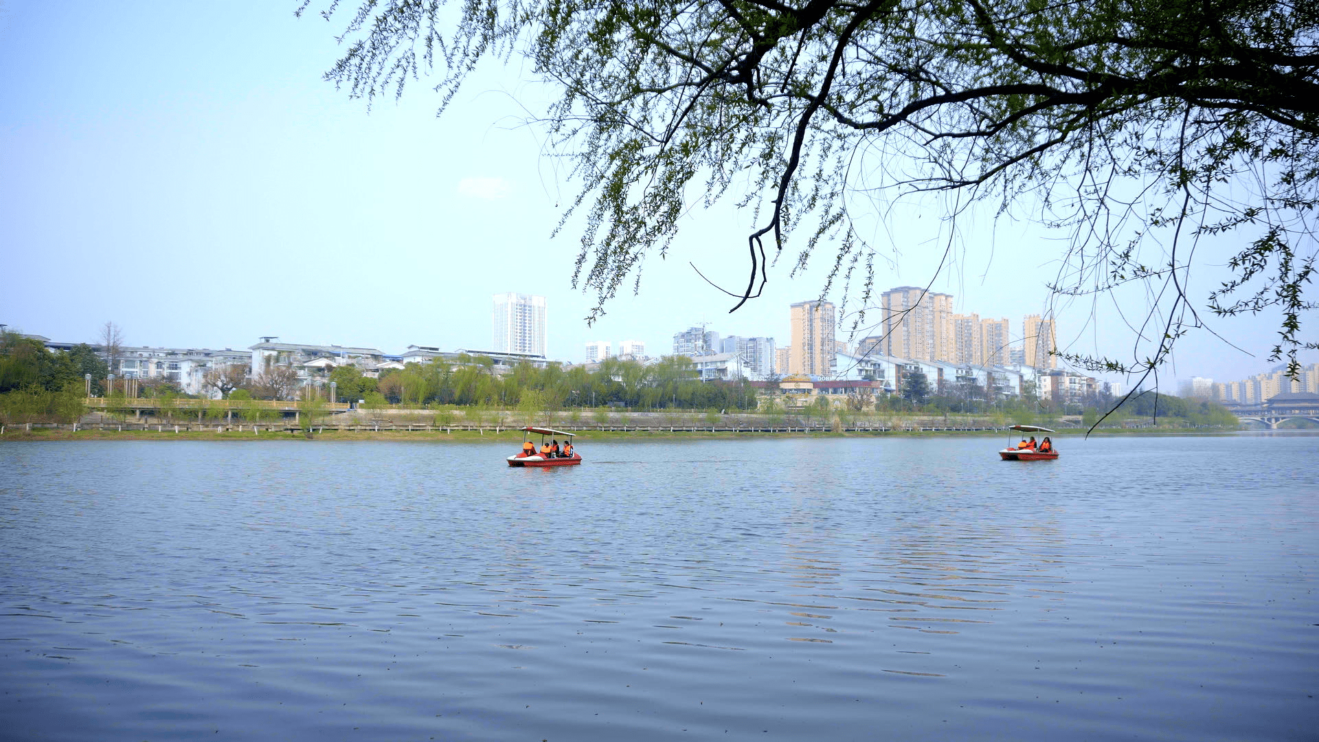 城市清澈湖里划船蓝天健康绿色生化视频的预览图