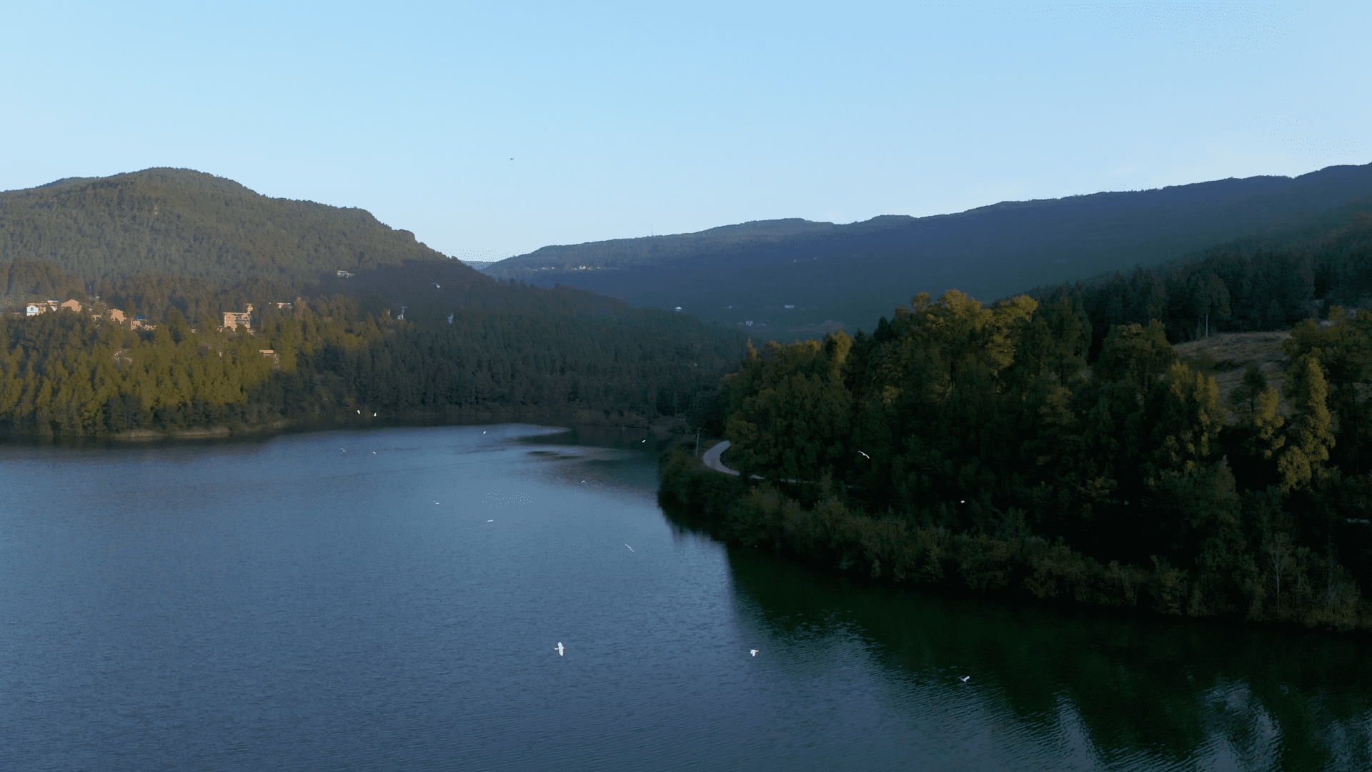 航拍大山湖泊白鹭飞翔视频的预览图