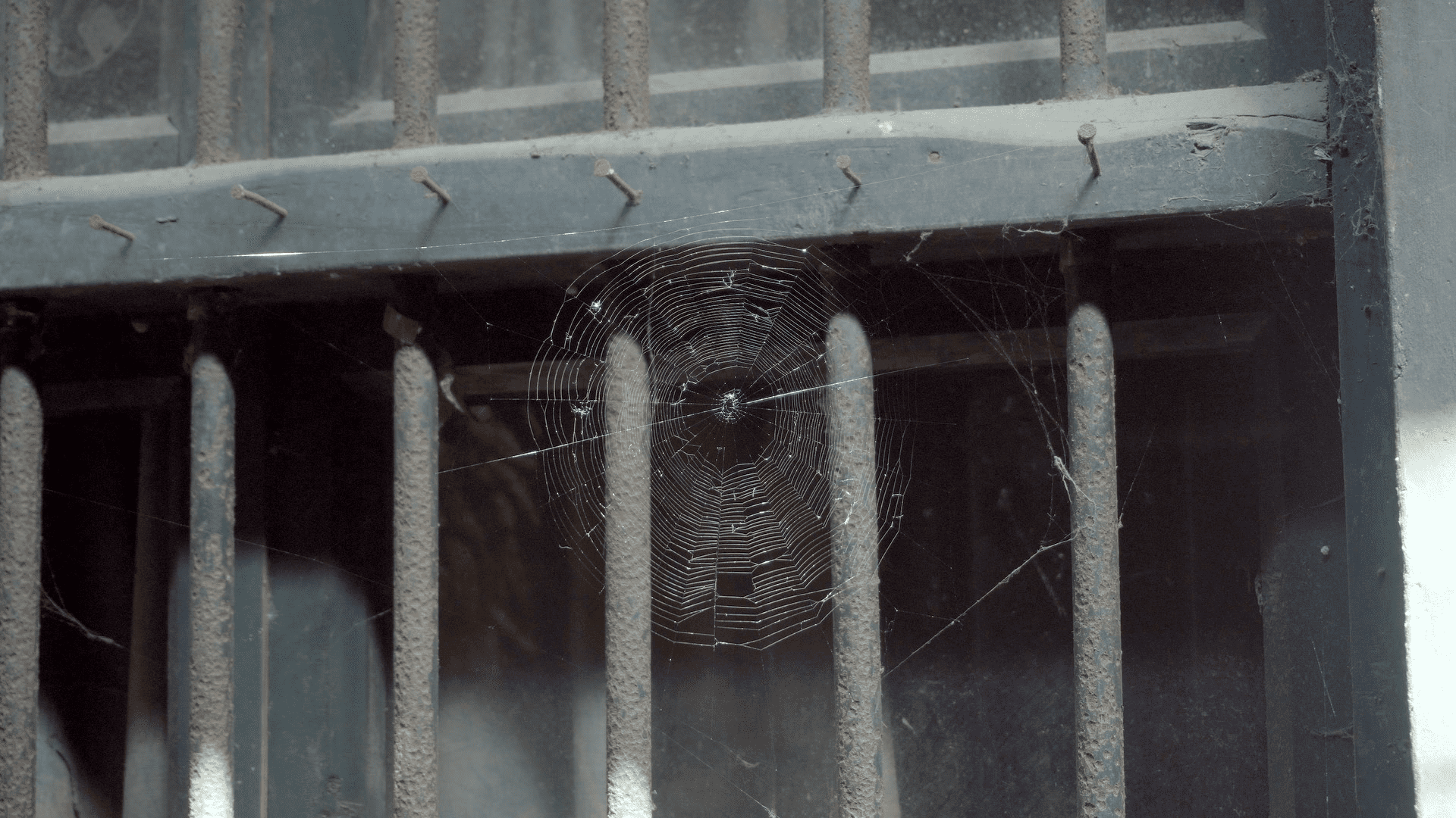 破旧老房子窗户的蜘蛛网实拍素材视频的预览图