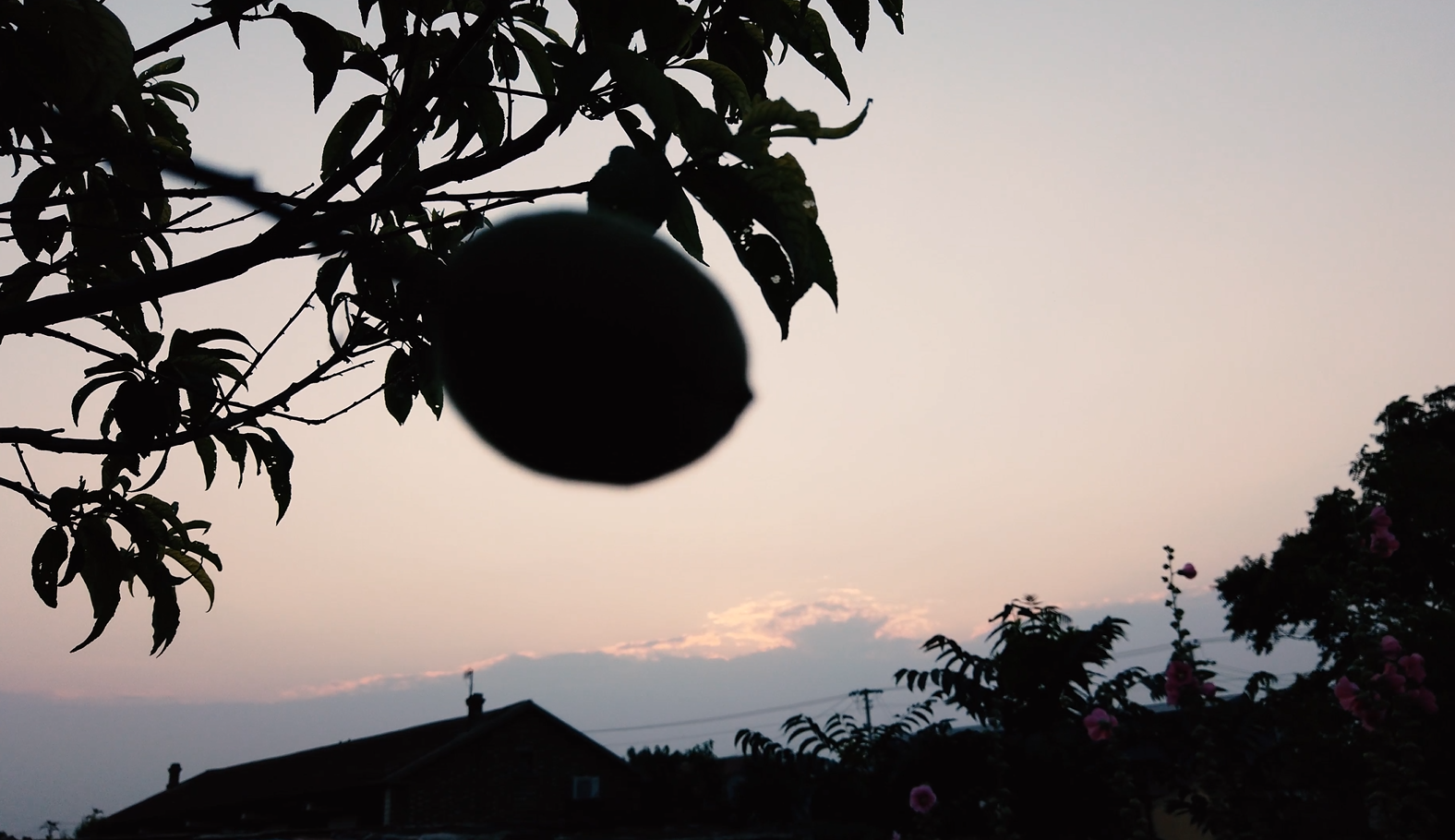 4k实拍夕阳云朵花朵阴影视频素材视频的预览图