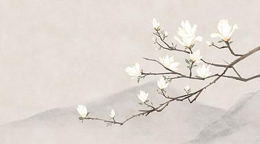 素色古风典雅树枝玉兰花开动态背景视频的预览图