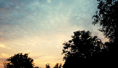 4k实拍唯美夕阳树木背影视频素材视频的预览图
