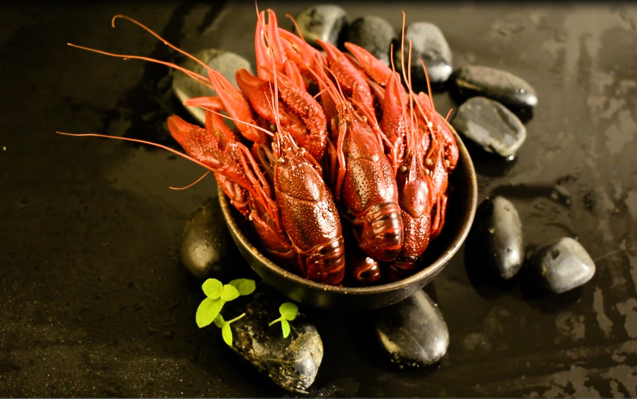 黑色背景上石头旁碗里的小龙虾视频的预览图