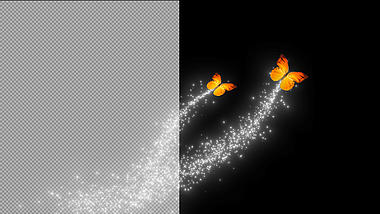 唯美蝴蝶飞舞粒子拖尾透明通道视频的预览图