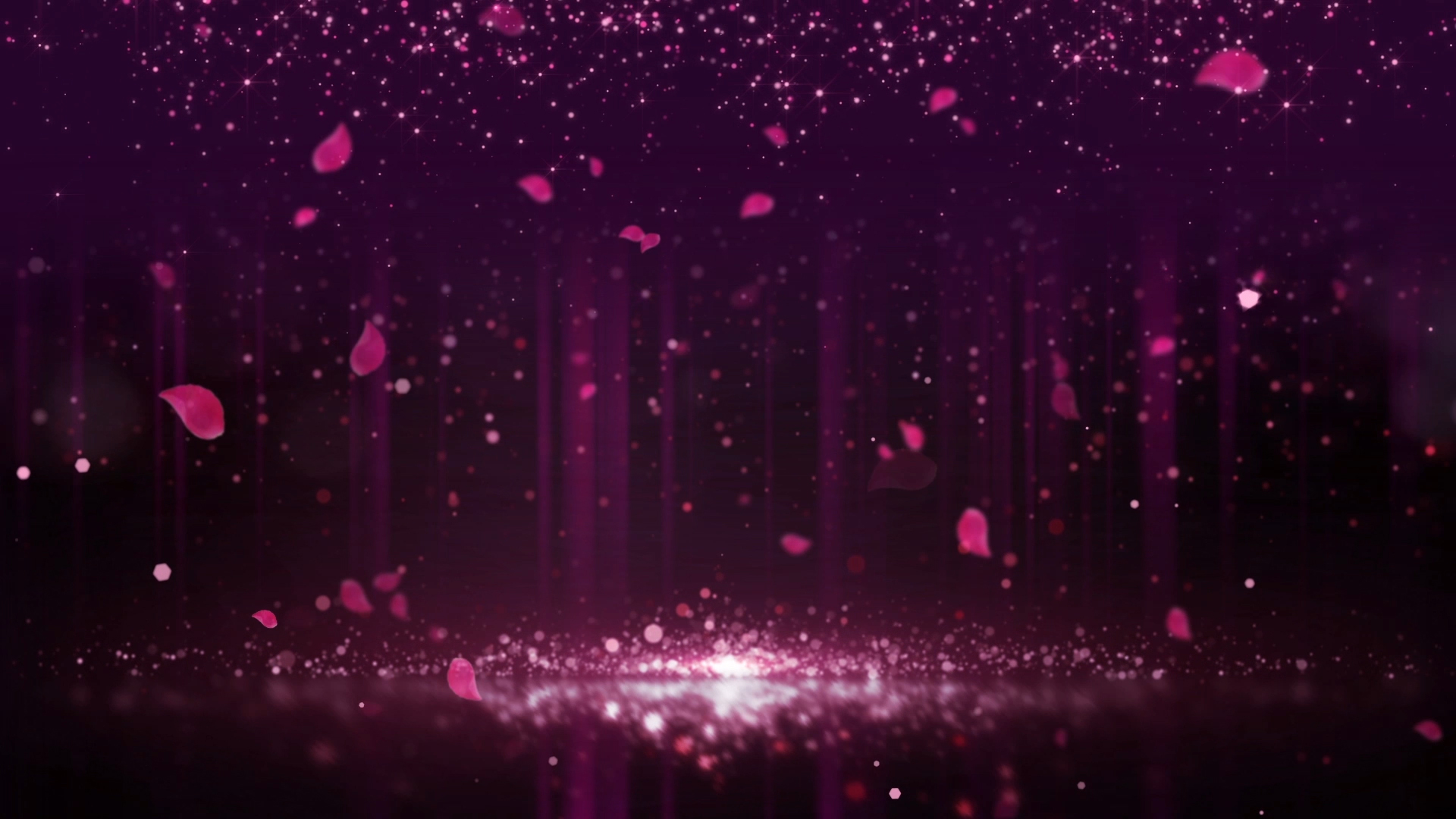 浪漫婚礼光效花瓣飞舞背景视频ae模板视频的预览图