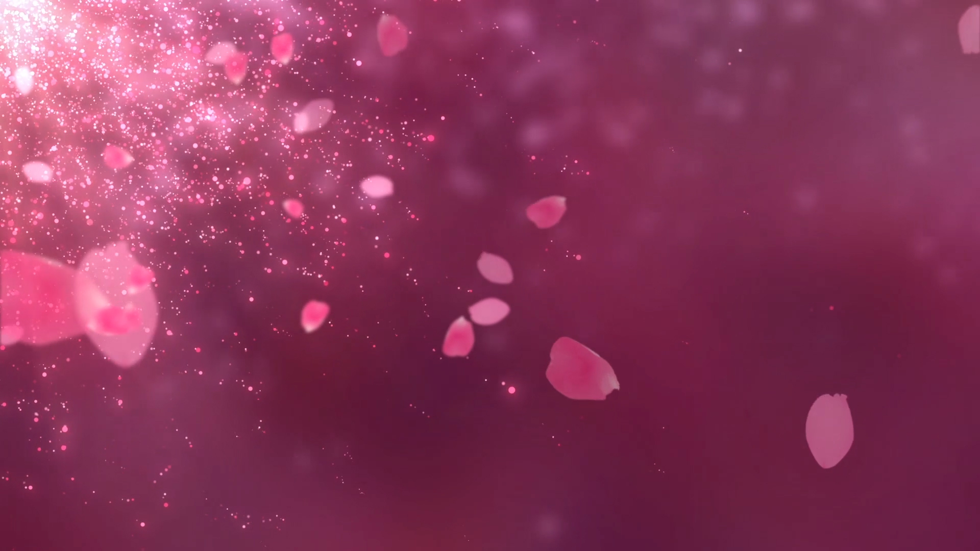 浪漫舞台婚礼花瓣飘散背景视频ae模板视频的预览图