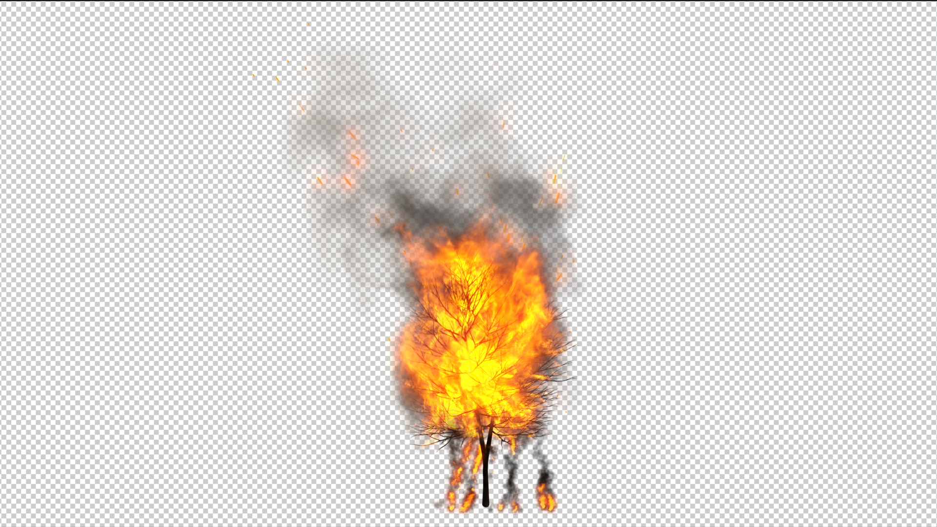 火焰燃烧树木透明通道无限循环视频的预览图