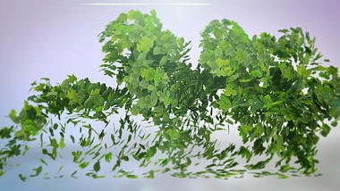 清新自然树叶吹起LOGO片头视频的预览图