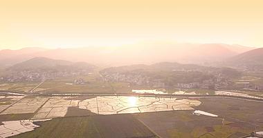 夕阳下波光粼粼的稻田视频的预览图