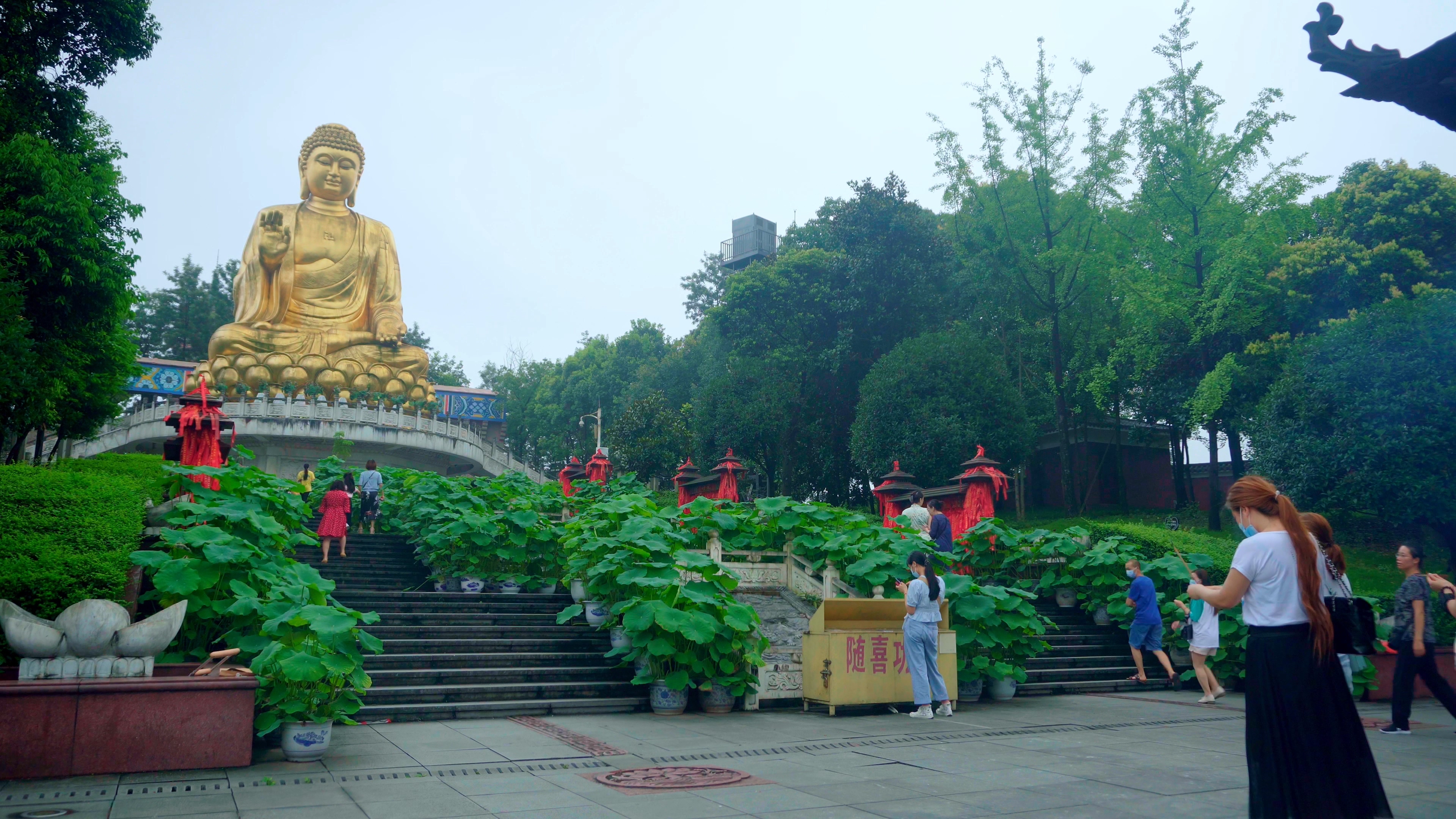 实拍人们拜佛佛祖巨像实拍素材视频的预览图