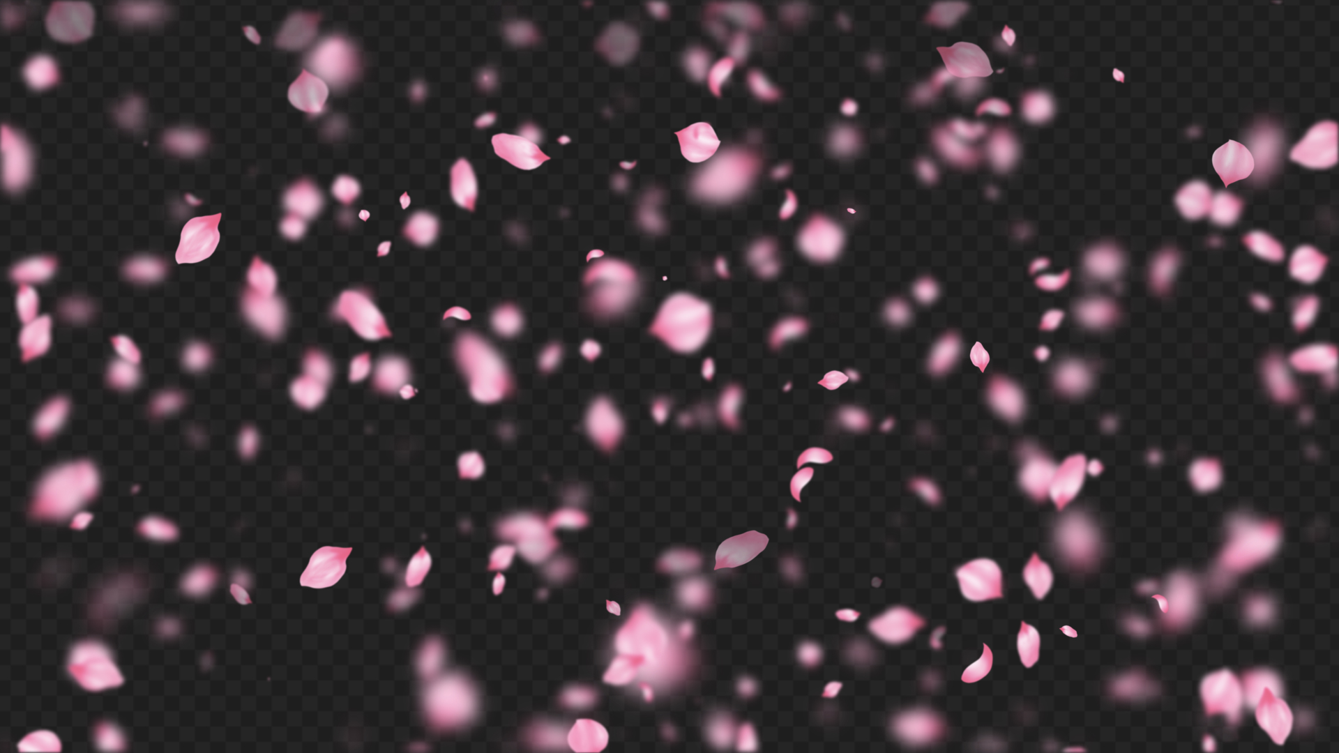 漫天飞舞的粉红桃花花瓣飘落透明通道挂件视频的预览图