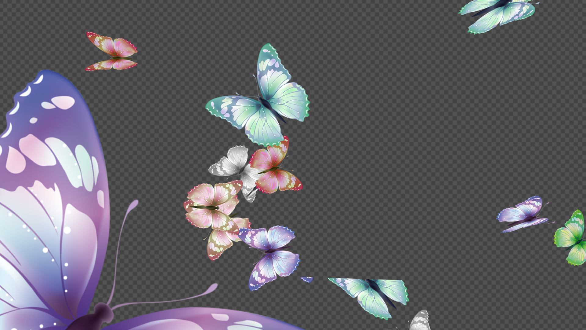 唯美花纹彩色蝴蝶飞舞无限循环透明通道挂件素材视频的预览图