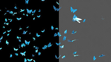 炫丽发光蓝色蝴蝶群飞舞透明通道挂件素材视频的预览图