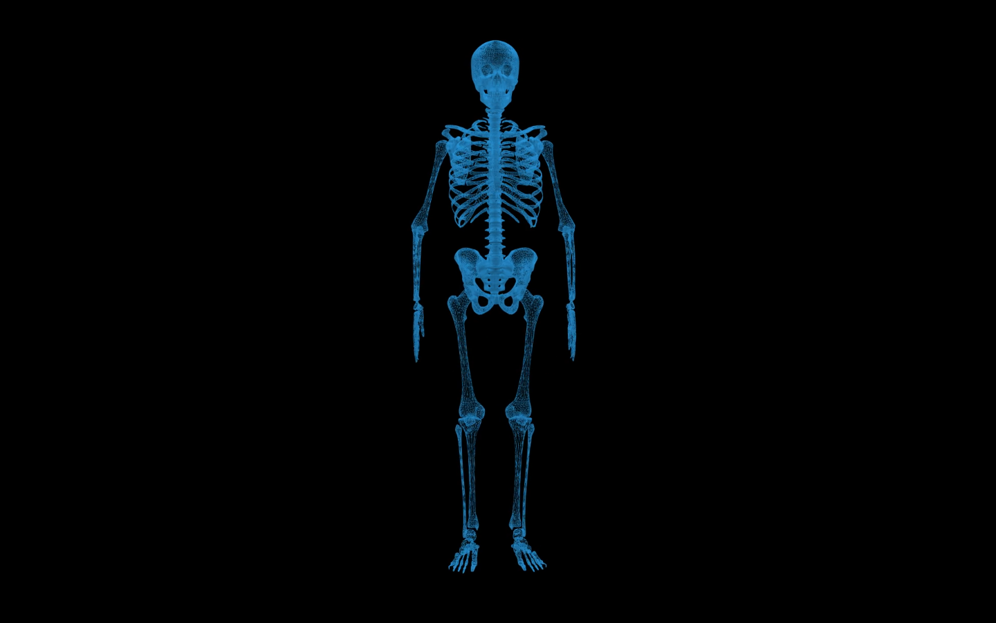 HUD三维人体骨骼人体经络图360度无缝旋转视频的预览图