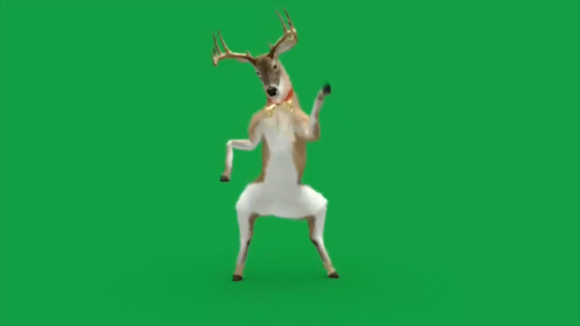 卡通圣诞驯鹿绿背抠像视频ae模板视频的预览图