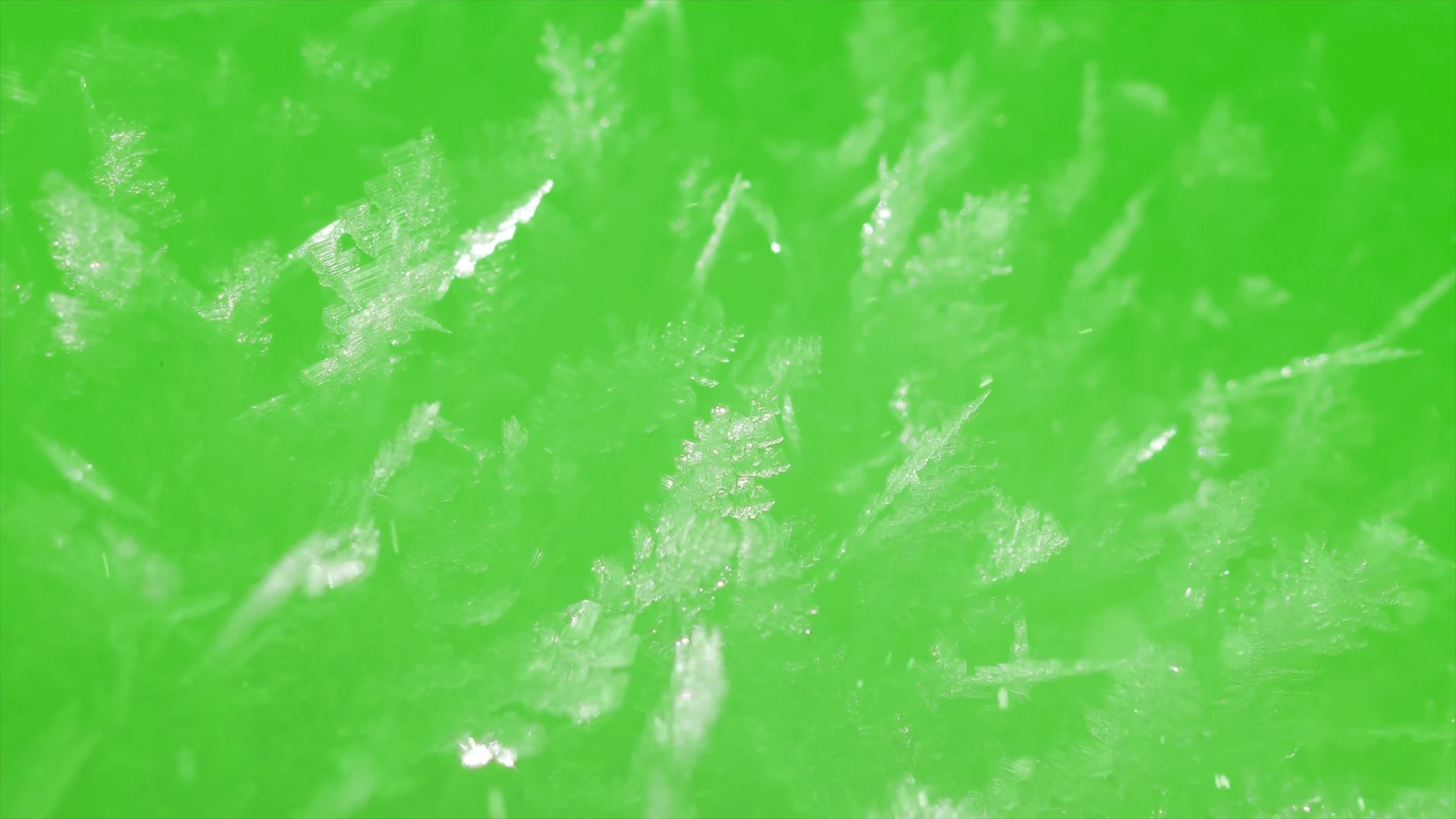 4k结冰冰花霜花绿幕视频ae模板视频的预览图