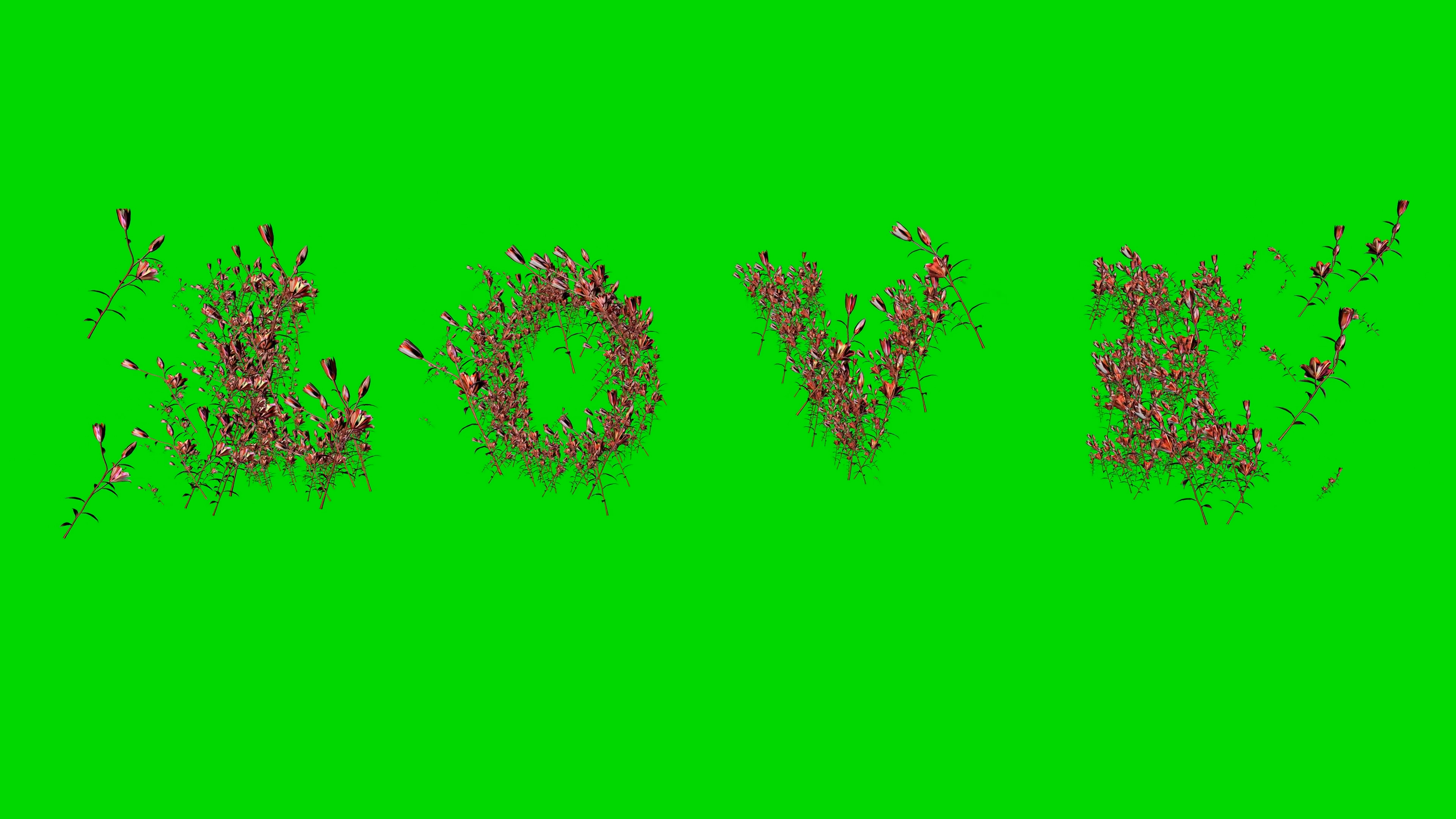 love文字绿幕特效视频ae模板视频的预览图