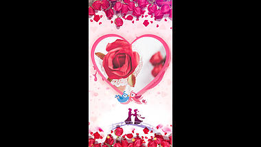 浪漫情人节玫瑰图文竖屏ae视频模板视频的预览图